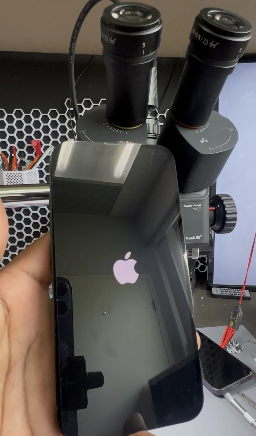The repaired iPhone 13 powering on to the Apple logo, data recovered